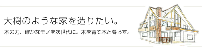 大樹のような家を作りたい。