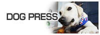 DOGPRESS